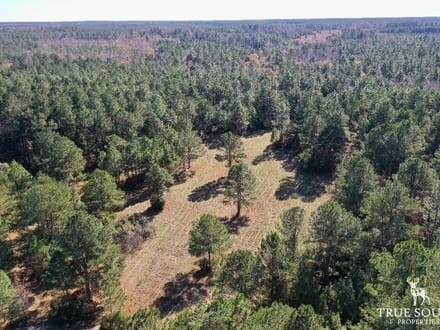 COW FIELD FARM - GA RANCH / PASTURE LAND WITH TIMBER & PONDS