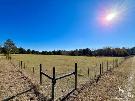 COW FIELD FARM - GA RANCH / PASTURE LAND WITH TIMBER & PONDS