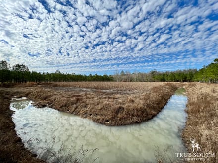 Turkey Pines Farm - Hunting & Recreational Retreat