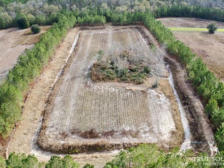 Turkey Pines Farm - Hunting & Recreational Retreat
