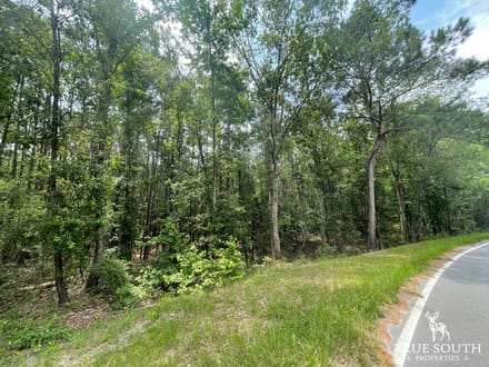 JASPER COUNTY / LOWCOUNTRY / FUTURE / HOMESITE / LAND