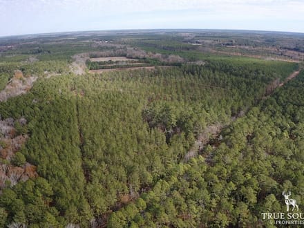 Turkey Pines Farm - Hunting & Recreational Retreat