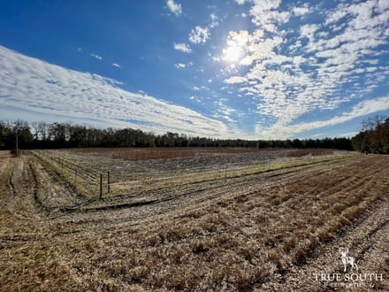 Turkey Pines Farm - Hunting & Recreational Retreat