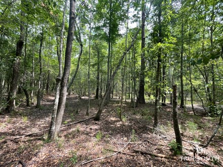 JASPER COUNTY / LOWCOUNTRY / FUTURE / HOMESITE / LAND
