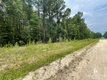 JASPER COUNTY / LOWCOUNTRY / FUTURE / HOMESITE / LAND