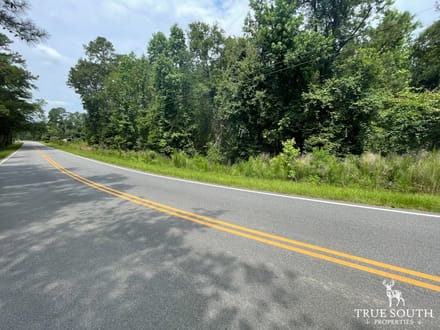 JASPER COUNTY / LOWCOUNTRY / FUTURE / HOMESITE / LAND