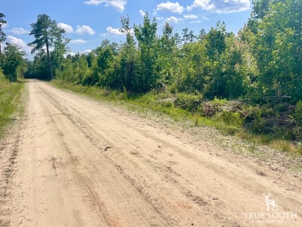 LOWCOUNTRY / COLLETON COUNTY / LAND FOR SALE