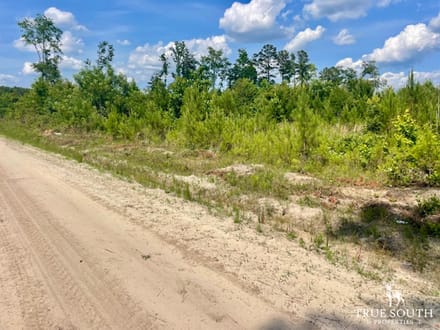 LOWCOUNTRY / COLLETON COUNTY / LAND FOR SALE