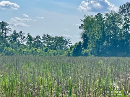 LOWCOUNTRY / COLLETON COUNTY / LAND FOR SALE