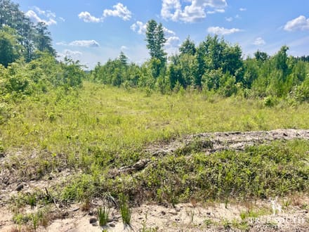 LOWCOUNTRY / COLLETON COUNTY / LAND FOR SALE