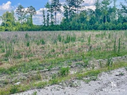 LOWCOUNTRY / COLLETON COUNTY / LAND FOR SALE