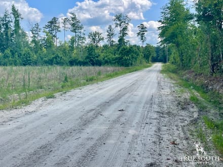 LOWCOUNTRY / COLLETON COUNTY / LAND FOR SALE