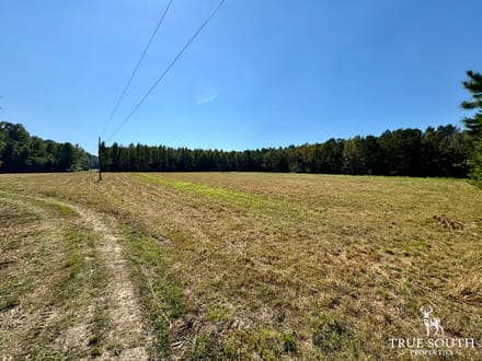 Estill SC Hunting & Recreational Farm w/ Cabin