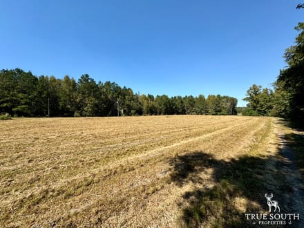 Estill SC Hunting & Recreational Farm w/ Cabin