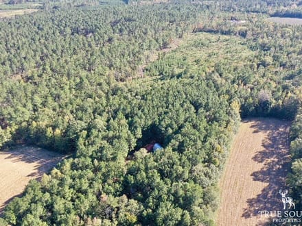 Estill SC Hunting & Recreational Farm w/ Cabin