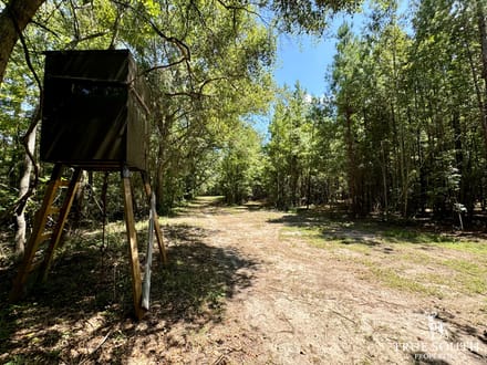 Estill SC Hunting & Future Development Land w. Pond