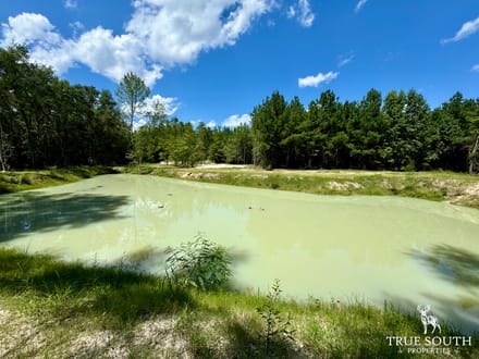 Estill SC Hunting & Future Development Land w. Pond