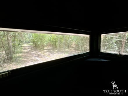 Estill SC Hunting & Future Development Land w. Pond