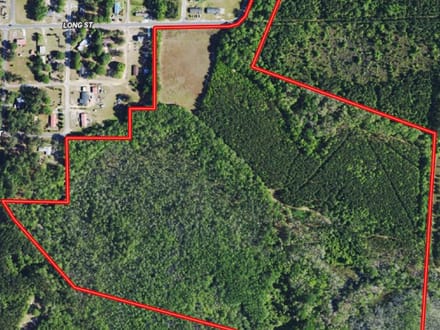Estill SC Hunting & Future Development Land w. Pond