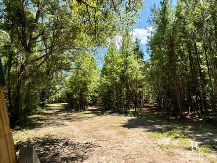 Estill SC Hunting & Future Development Land w. Pond