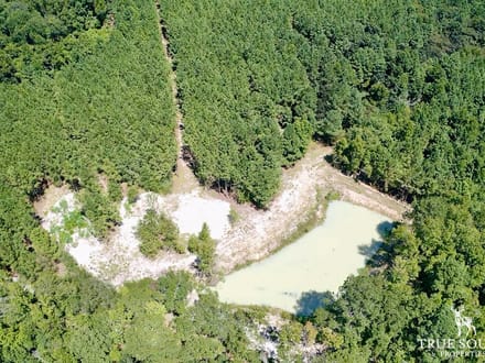 Estill SC Hunting & Future Development Land w. Pond