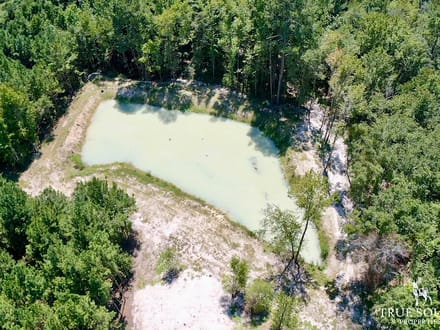 Estill SC Hunting & Future Development Land w. Pond