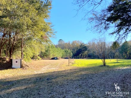 Jackson Branch 300 Acres