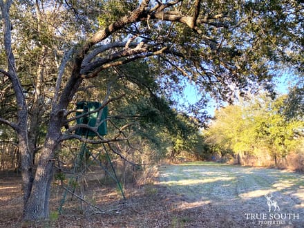 Jackson Branch 300 Acres