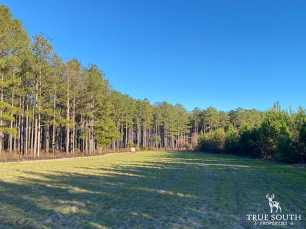 Jackson Branch 300 Acres