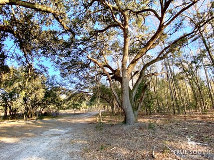 Jackson Branch 300 Acres