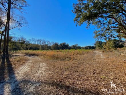 Jackson Branch 300 Acres