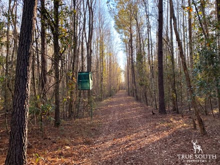 Jackson Branch 300 Acres