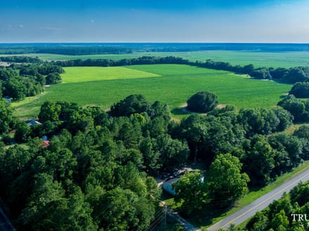 Bamberg County / 6.19 acres / For Sale