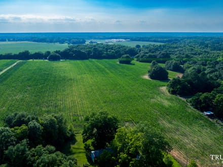 Bamberg County / 6.19 acres / For Sale