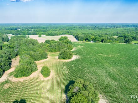 Bamberg County / 6.19 acres / For Sale