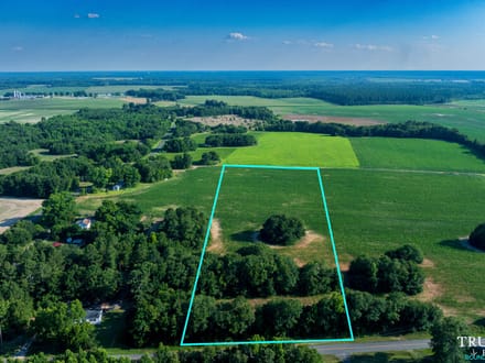 Bamberg County / 6.19 acres / For Sale