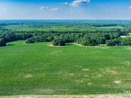 Bamberg County / 6.19 acres / For Sale