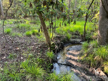 Hampton 10 Acre Future Homesite Mini Farm