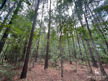 Estill Hampton Co. Turn-Key Camp Site