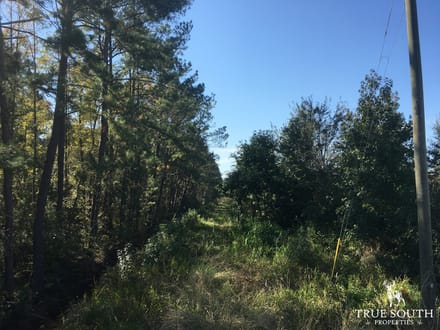 Hardeeville Multi-Use Development Tract