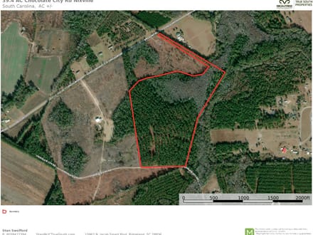 Nixville Hampton Co. Timber / Hunting Land