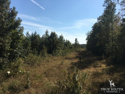 Hardeeville Multi-Use Development Tract