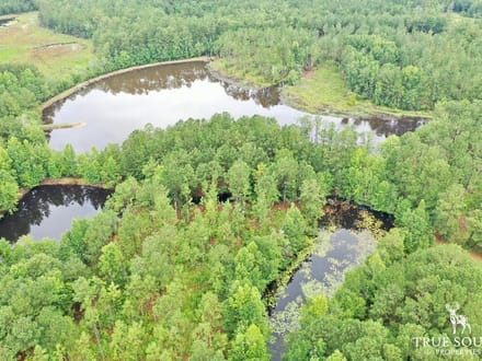 Woodcliff Screven Co Hunting & Timber Farm