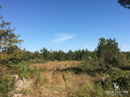 Hardeeville Multi-Use Development Tract