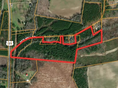 Neeses Orangeburg Co Timber / Hunting / Country Homesite Land