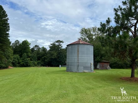 Woodcliff Screven Co Hunting & Timber Farm