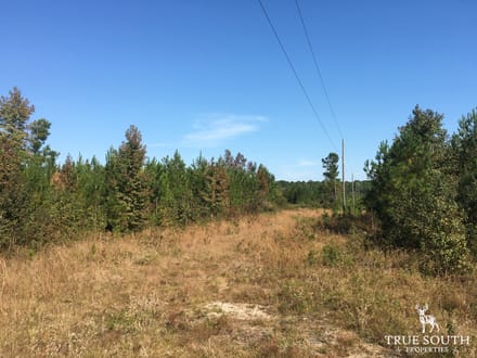 Hardeeville Multi-Use Development Tract