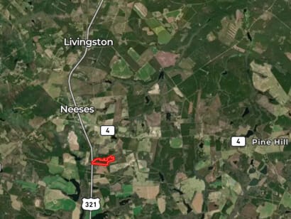 Neeses Orangeburg Co Timber / Hunting / Country Homesite Land