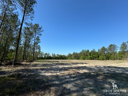 Brunson, Hampton Co. Land For Sale