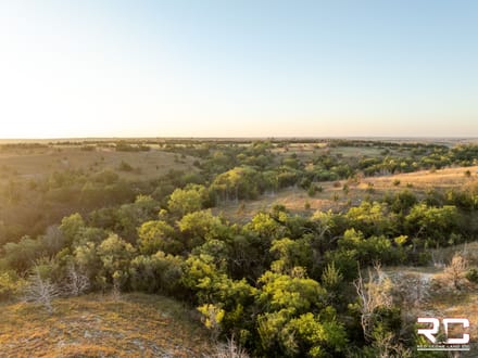 ONLINE AUCTION: The Ultimate Ellis County Recreational Farm, 159.6 +/- Acres In Northeast Ellis County, KS
